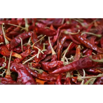 Common Guntur Dry Red Chilli